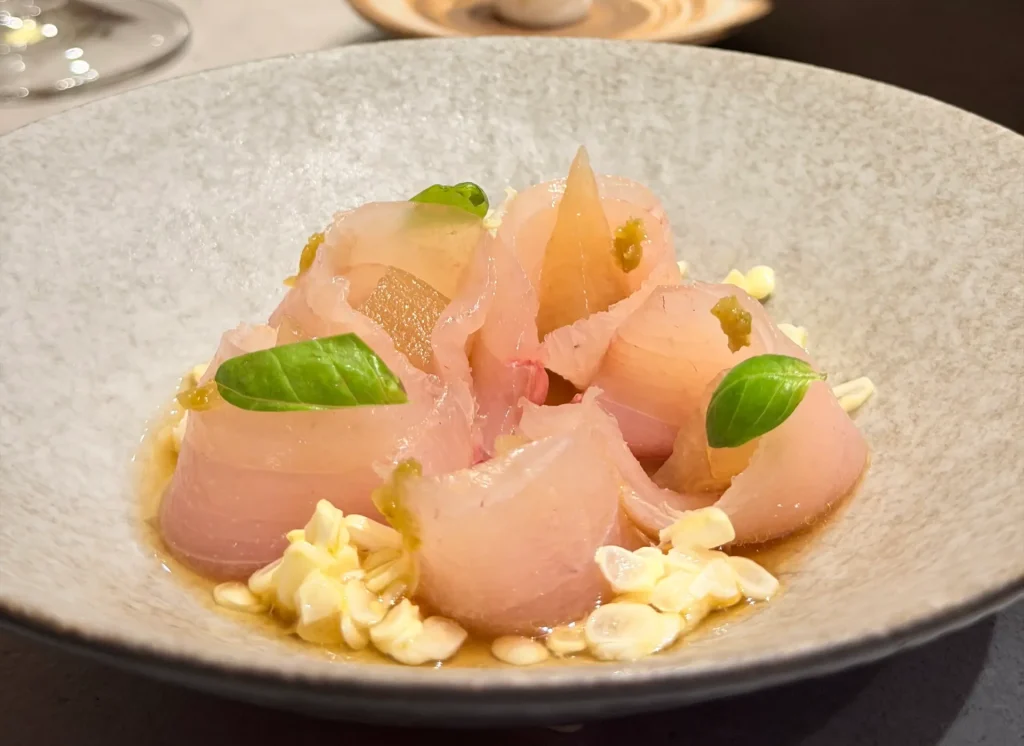 Maison 242 汲汲2.0