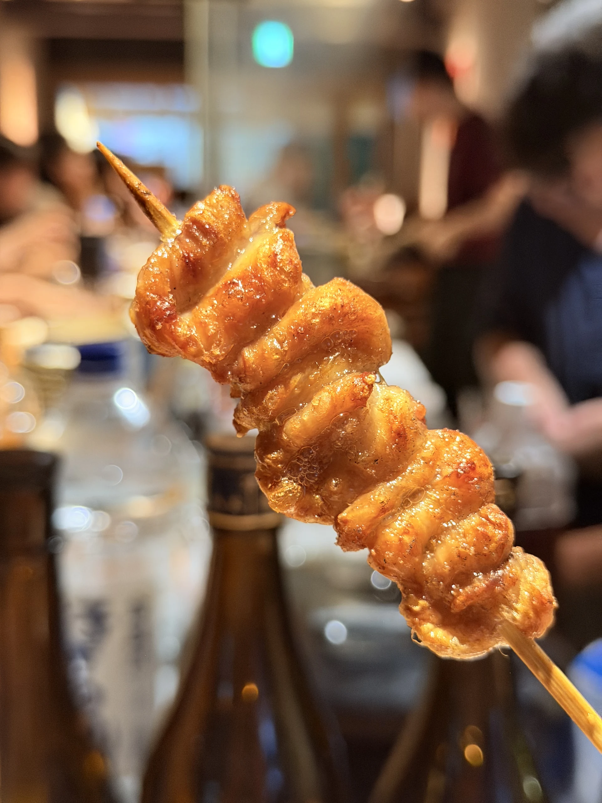 DOMO Yakitori 炭火燒鳥 雞皮