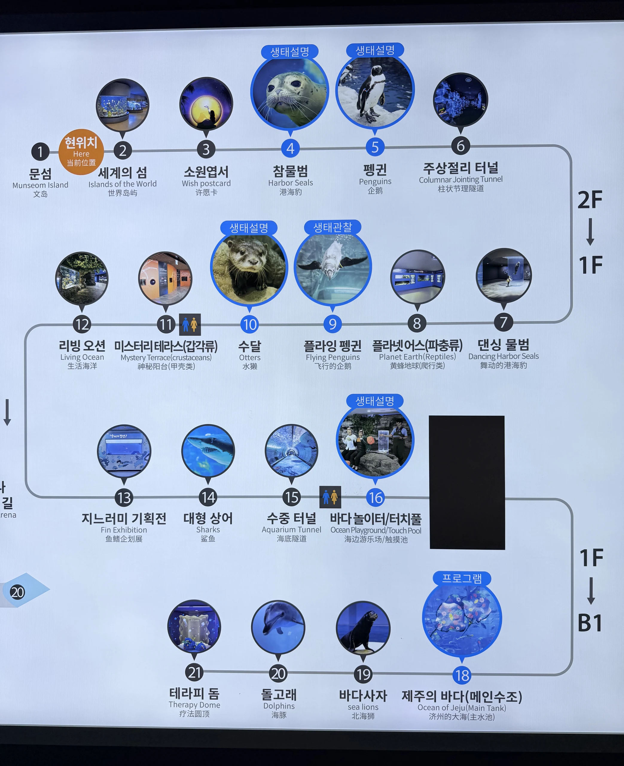 Aqua Planet 濟州水族館 館內導覽圖