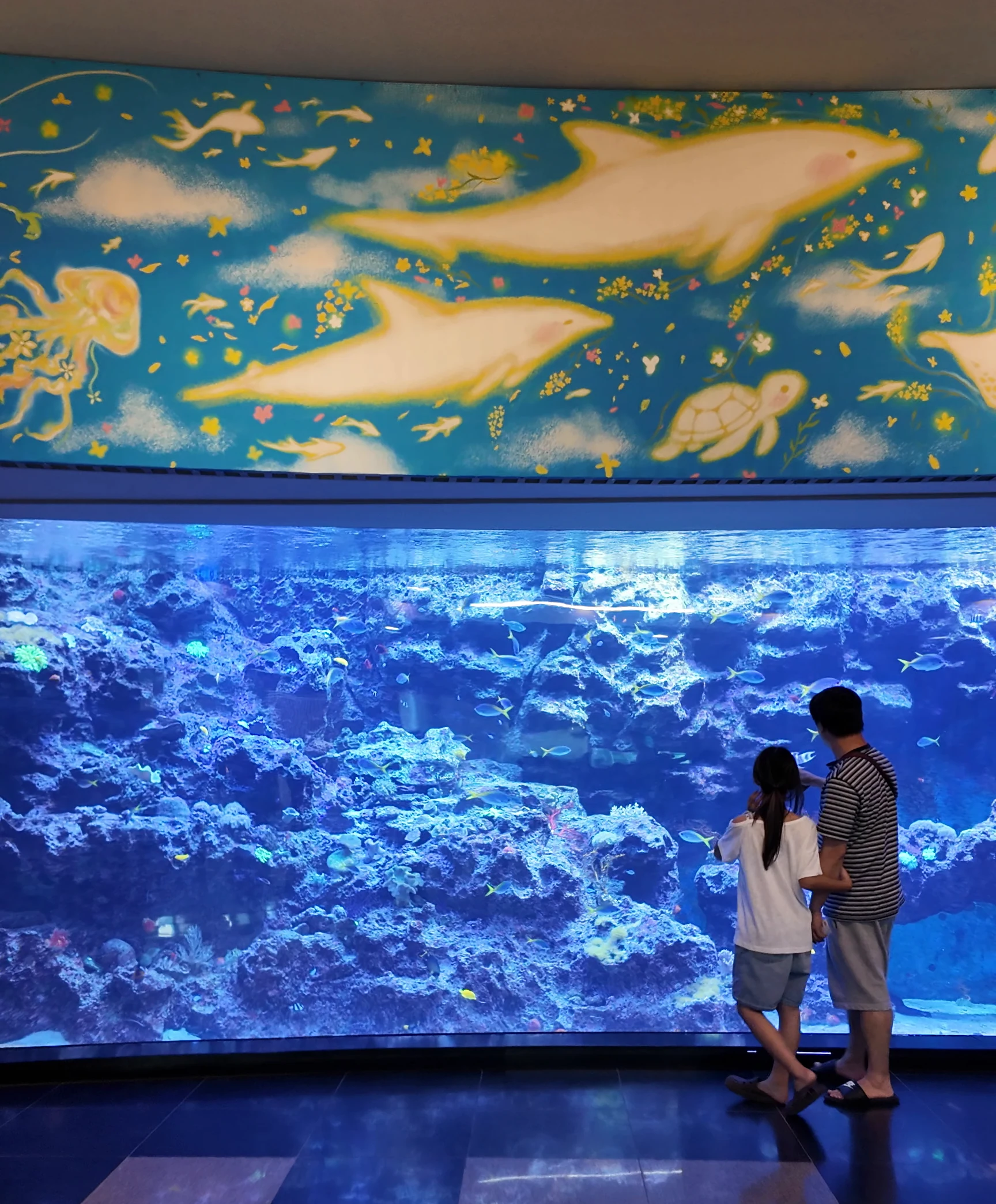 Aqua Planet 濟州水族館 大水族箱