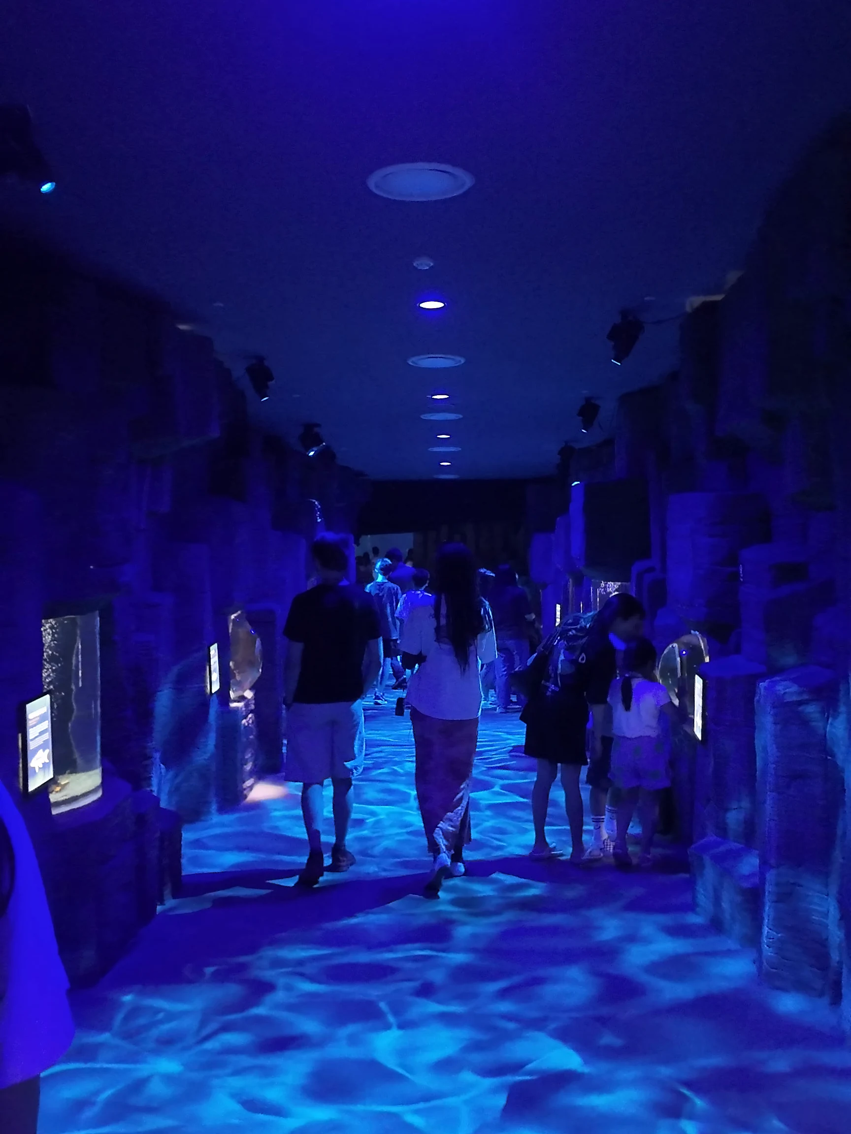 Aqua Planet 濟州水族館 柱狀節理隧道