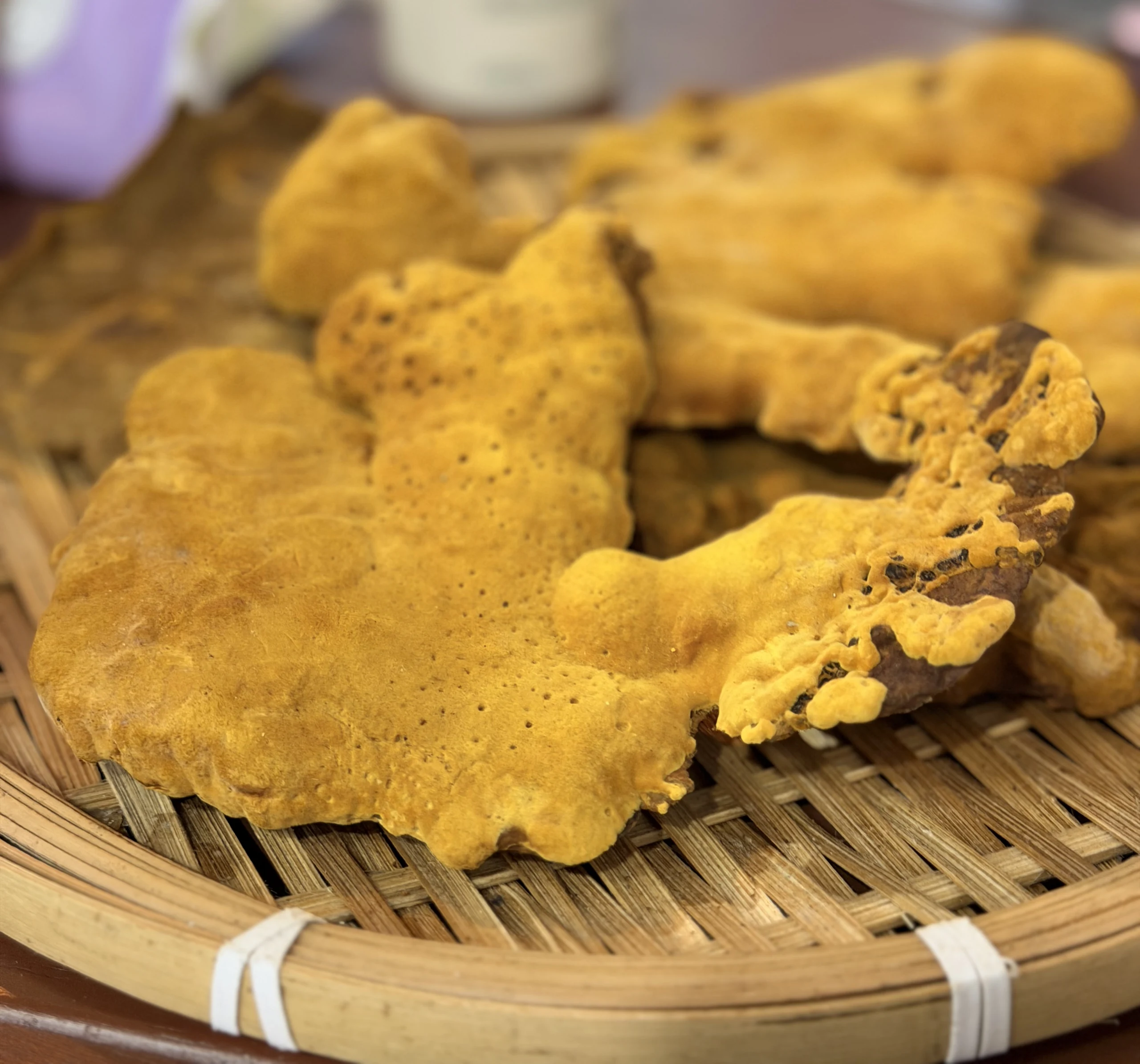 萬德蔘雞湯 桑黃菇