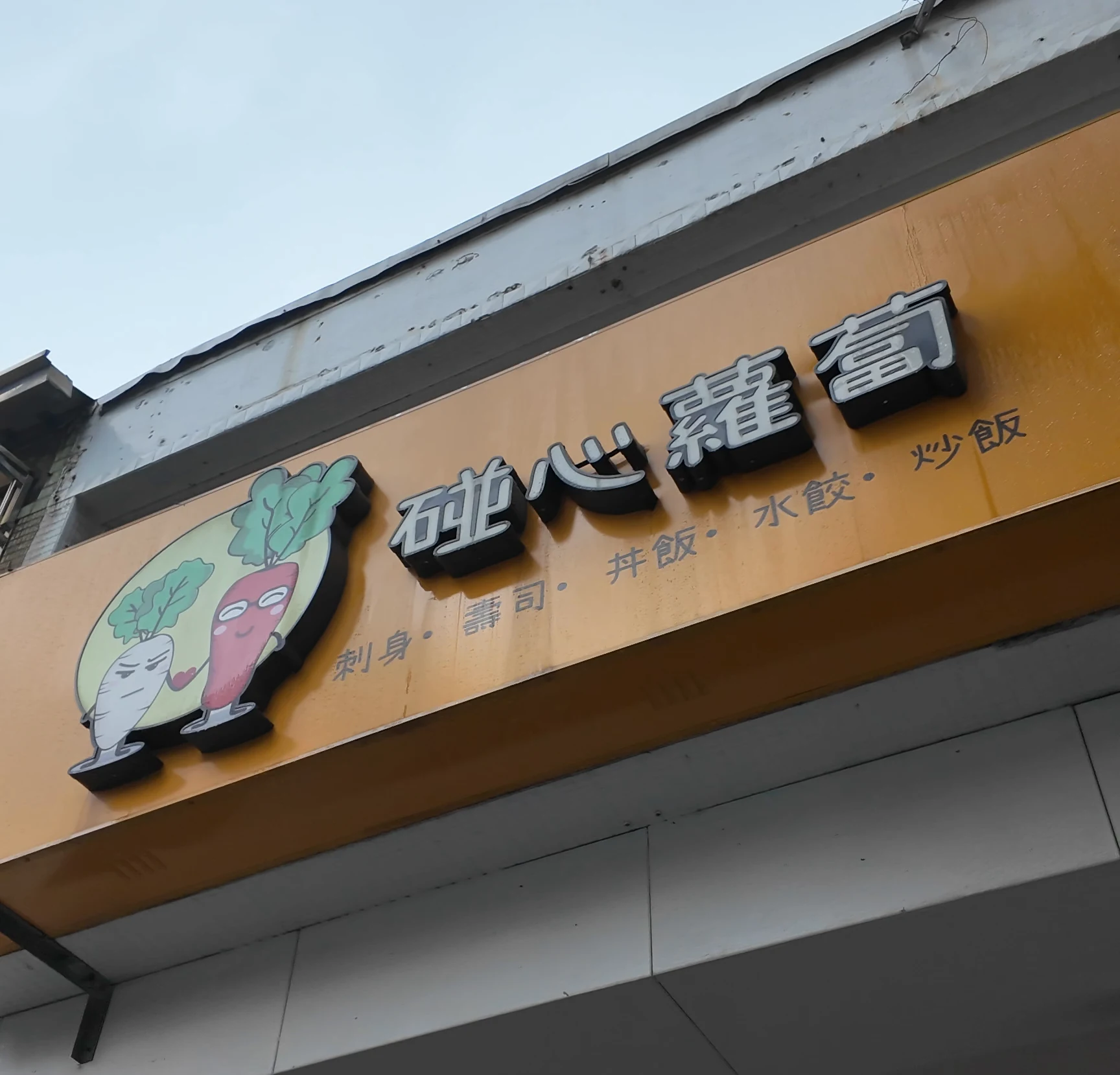 碰心蘿蔔 外觀